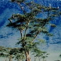 094 Tanzanie 1994