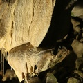 09 GrotteDeThouzon 28.04.23 16.35