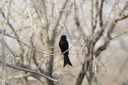 810 Etosha 12.09 09H38